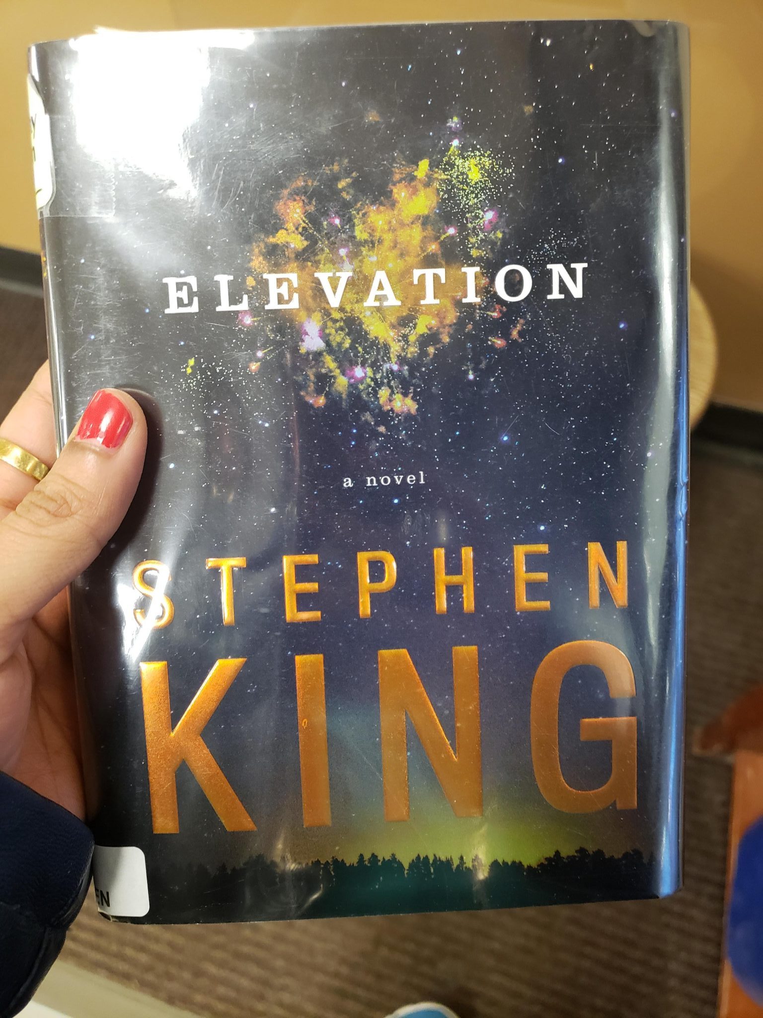 elevation stephen king review